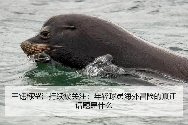 王钰栋留洋持续被关注：年轻球员海外冒险的真正话题是什么